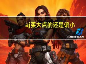 aj买大点的还是偏小