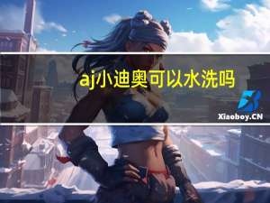 aj小迪奥可以水洗吗