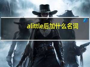 a little后加什么名词
