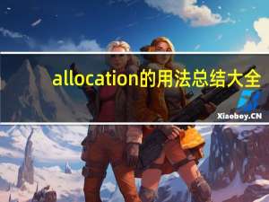 allocation的用法总结大全