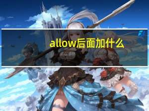 allow后面加什么