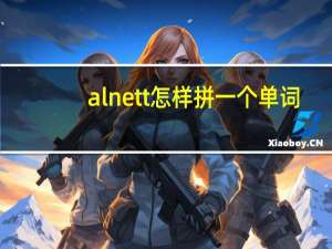 alnett怎样拼一个单词