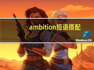 ambition短语搭配
