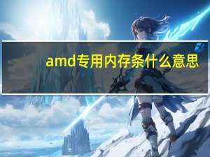 amd专用内存条什么意思（amd专用内存）