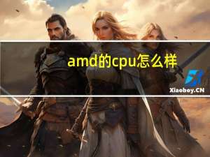 amd的cpu怎么样