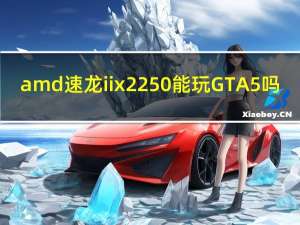 amd速龙ii x2 250能玩GTA5吗