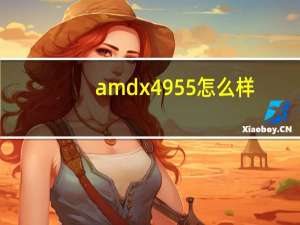 amdx4955怎么样