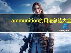 ammunition的用法总结大全