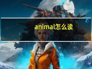 animal怎么读（salad怎么读）