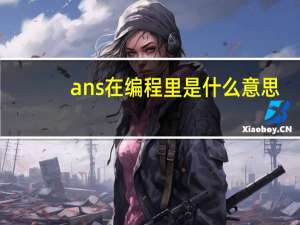 ans在编程里是什么意思