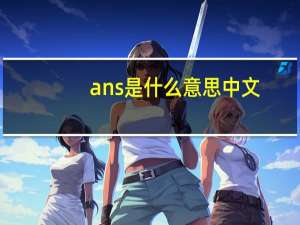 ans是什么意思中文