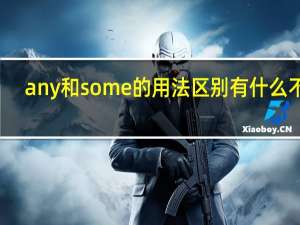any和some的用法区别 有什么不同