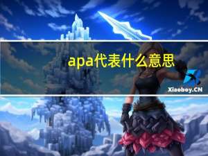 apa代表什么意思