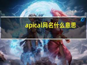 apical网名什么意思