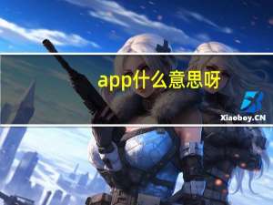 app什么意思呀（app什么意思）