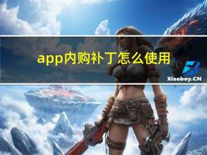 app内购补丁怎么使用（内购补丁）