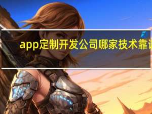 app定制开发公司哪家技术靠谱