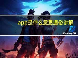 app是什么意思通俗讲解