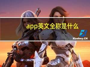 app英文全称是什么