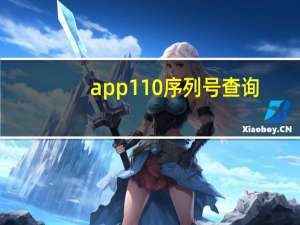 app110序列号查询（苹果110序列号查询）