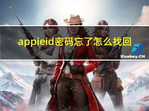 appieid密码忘了怎么找回（appie id密码找回）