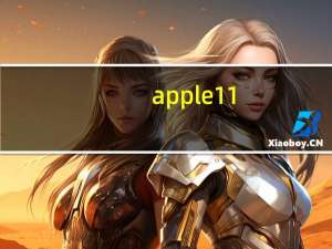 apple11（apple111）