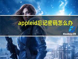 apple id忘记密码怎么办（apple id忘记密码）