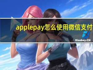 apple pay怎么使用微信支付（apple pay怎么使用）