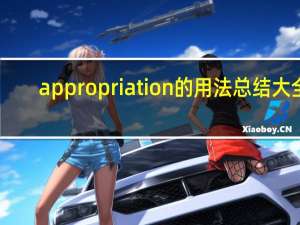 appropriation的用法总结大全
