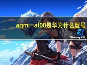 aqm一al00是华为什么型号