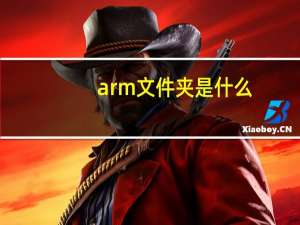 arm文件夹是什么