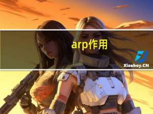 arp作用