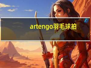 artengo羽毛球拍（artengo）