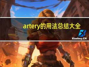 artery的用法总结大全