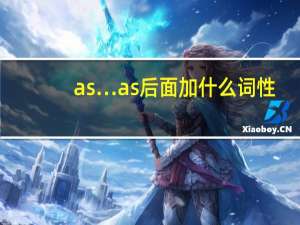 as…as后面加什么词性