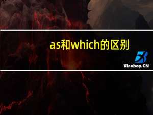 as和which的区别