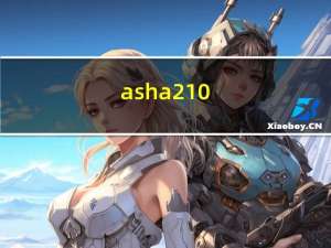 asha210（微信）