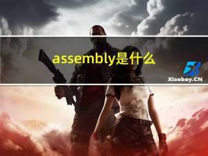 assembly是什么（关于assembly是什么的介绍）