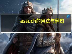 as such的用法与例句