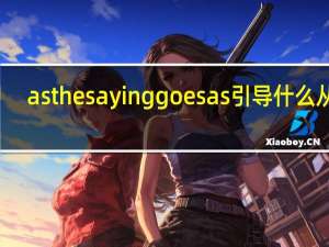 as the saying goes as引导什么从句