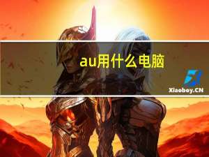 au用什么电脑