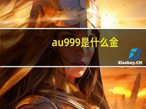 au999是什么金