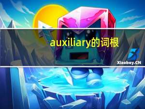 auxiliary的词根（auxiliary）