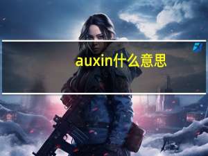 aux in什么意思（aux in）