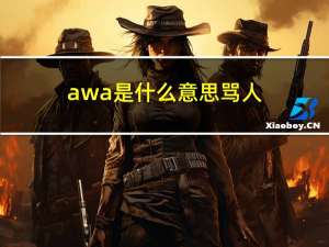 awa是什么意思骂人（awa是什么意思）