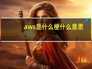 aws是什么梗什么意思（aws是什么梗）