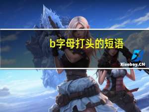 b字母打头的短语