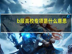 b段高校专项是什么意思