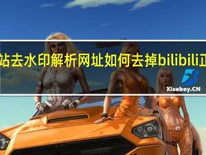 b站去水印解析网址 如何去掉bilibili正版水印