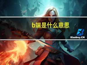b端是什么意思